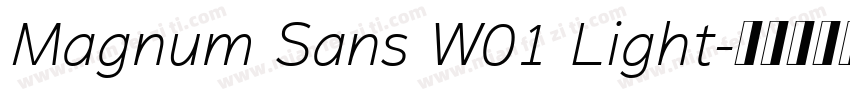 Magnum Sans W01 Light字体转换